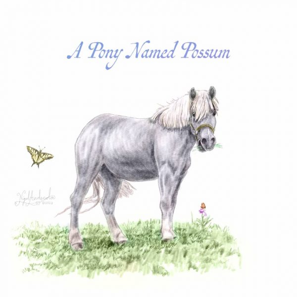 A Pony Named Possum - Single