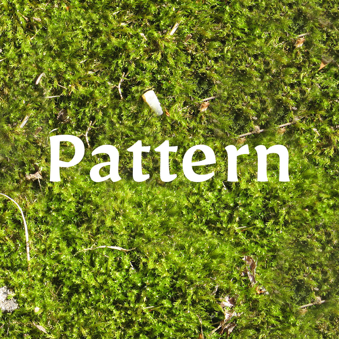 moss pattern preview